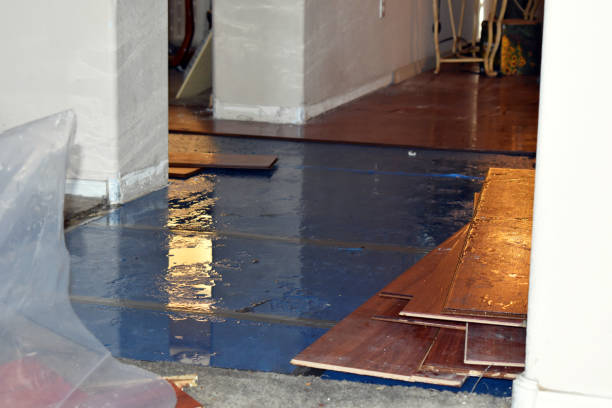 Professional Water Damage Restoration technician working in Littlerock, WA